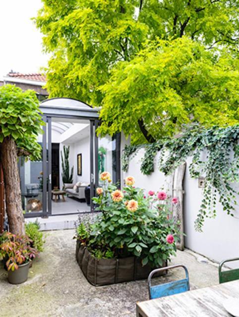 Apartment Close To Campus Nijmegen Exteriör bild
